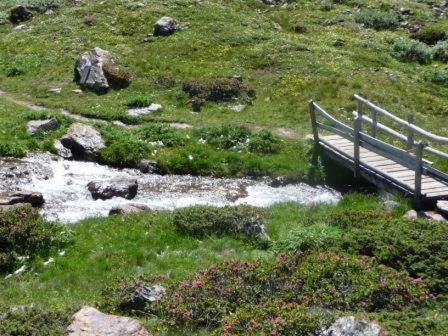 Aparthotel Alpenrose Martell Zewnętrze zdjęcie